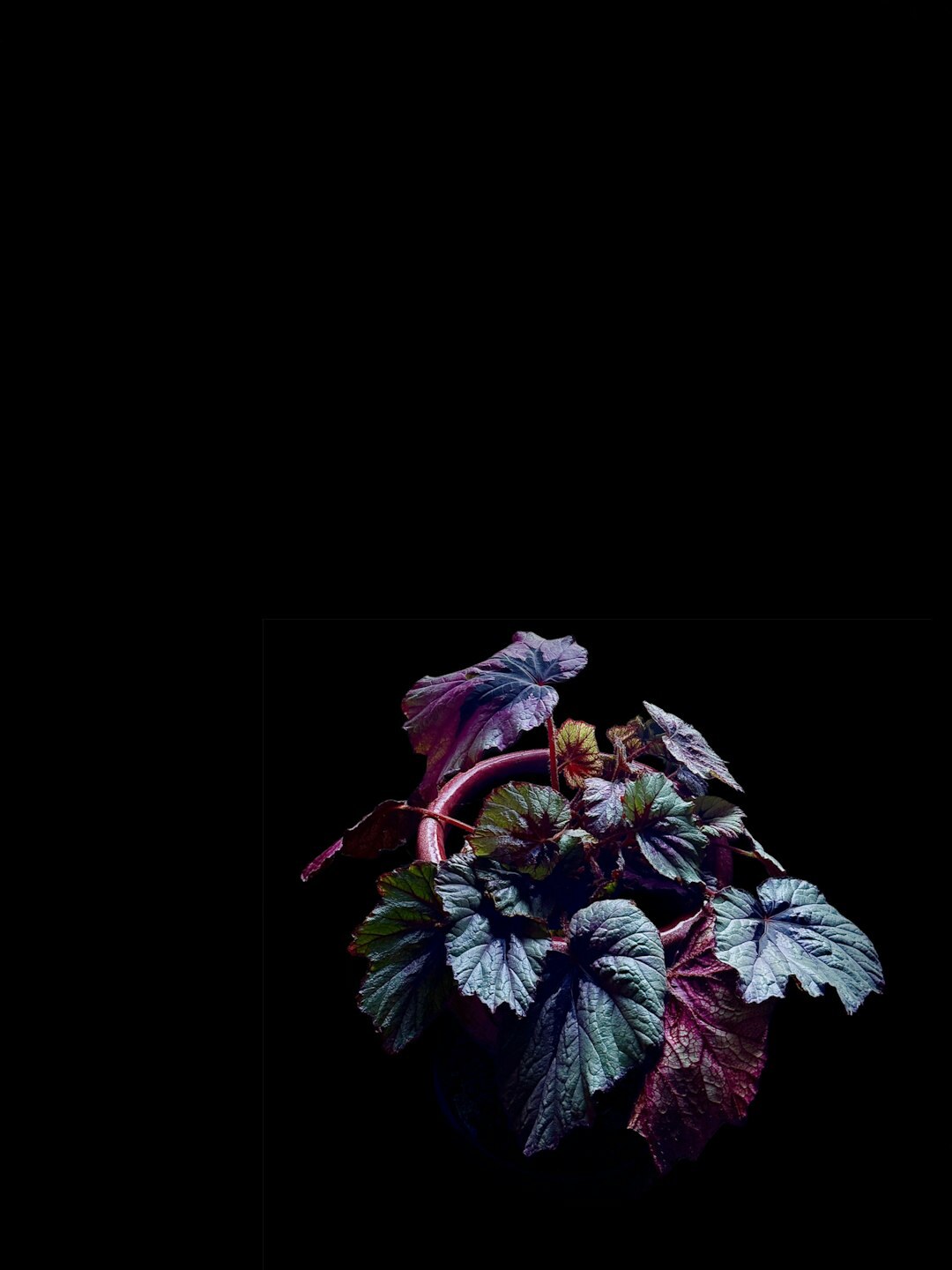book cover mystery